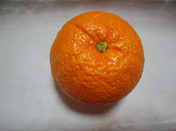 オレンジ０１.JPG